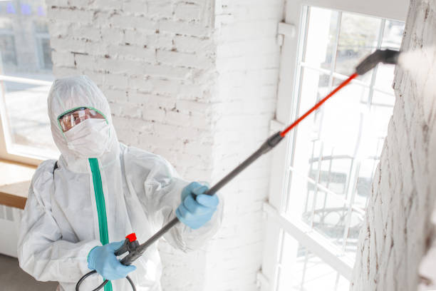 Best Industrial Mold Remediation  in Head Of The Harbor, NY