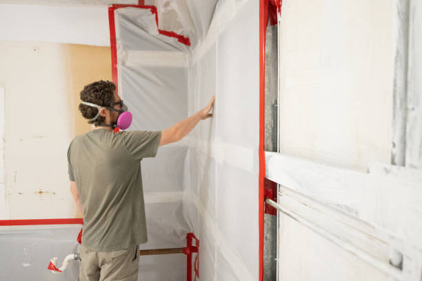 Best Comprehensive Air Testing for Mold Contaminants  in Head Of The Harbor, NY