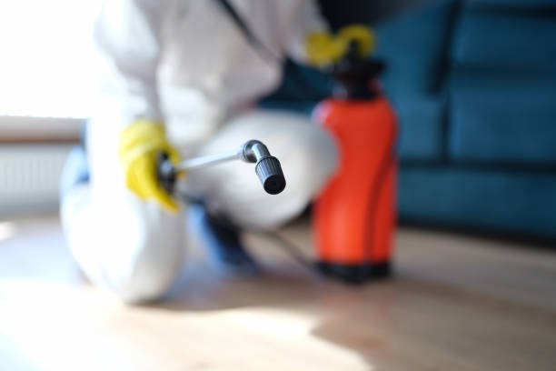 Best Environmental Consulting for Mold Prevention  in Head Of The Harbor, NY